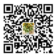 二维码图片